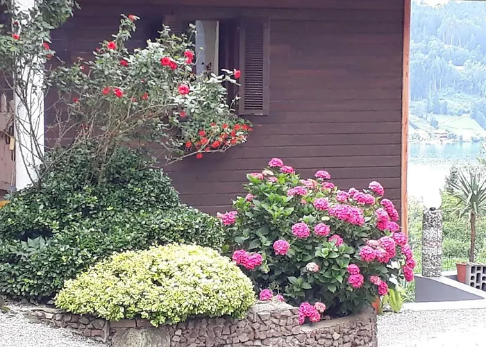 Guggenbichler * סיבודן